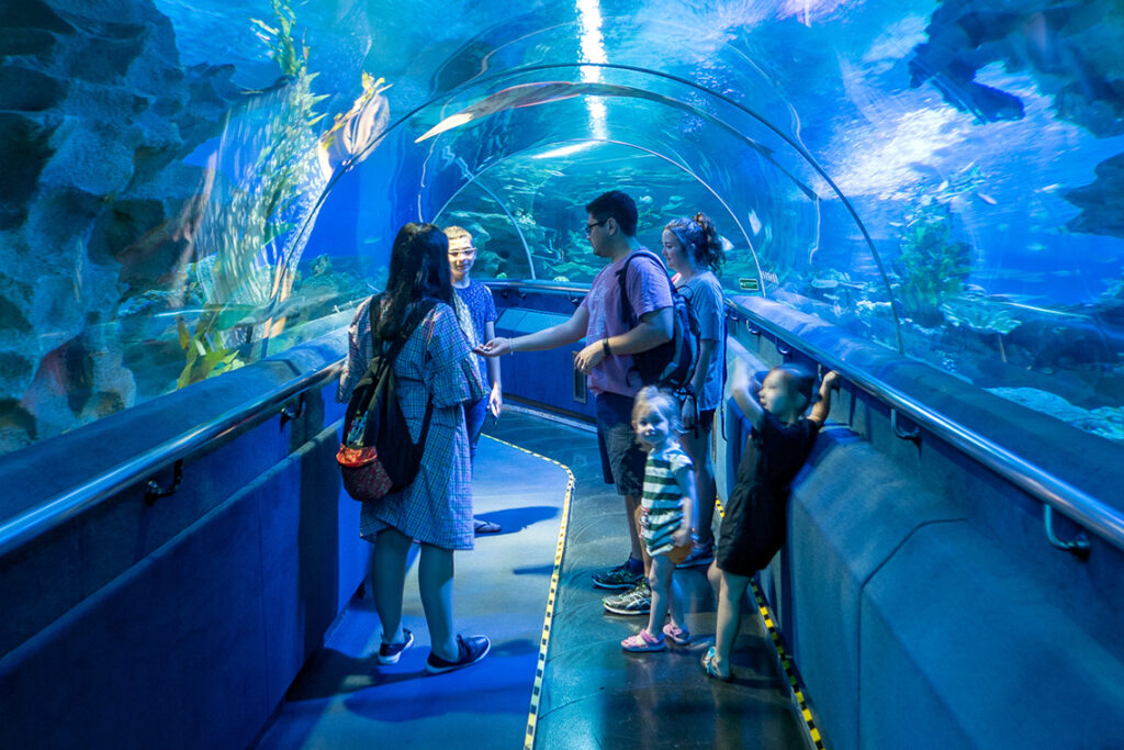 Aquaria KLCC Attractions Wonderful Malaysia