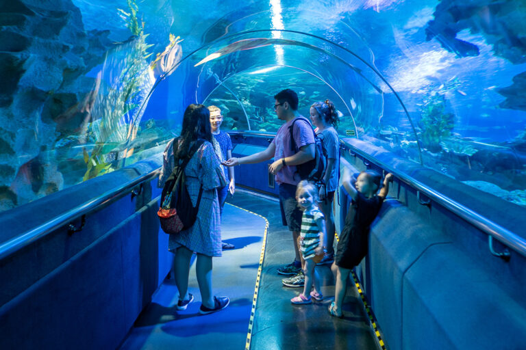 Aquaria KLCC | Attractions | Wonderful Malaysia