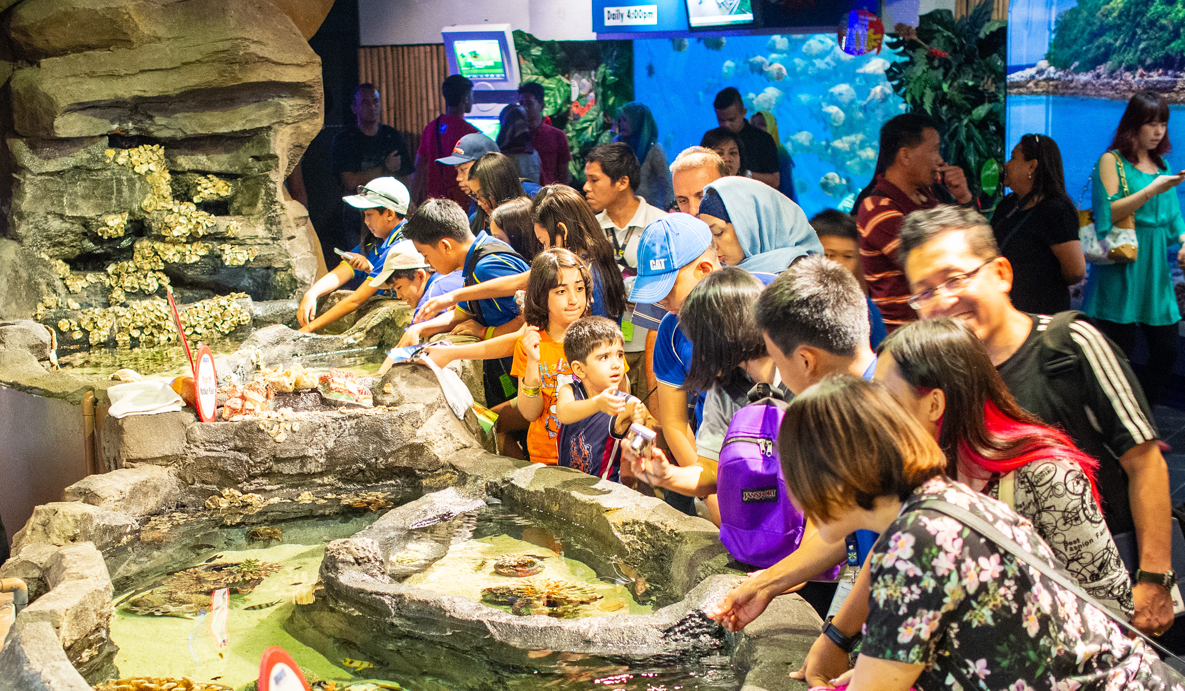 Malaysia Family Travel Guide: Best Attractions for Kids