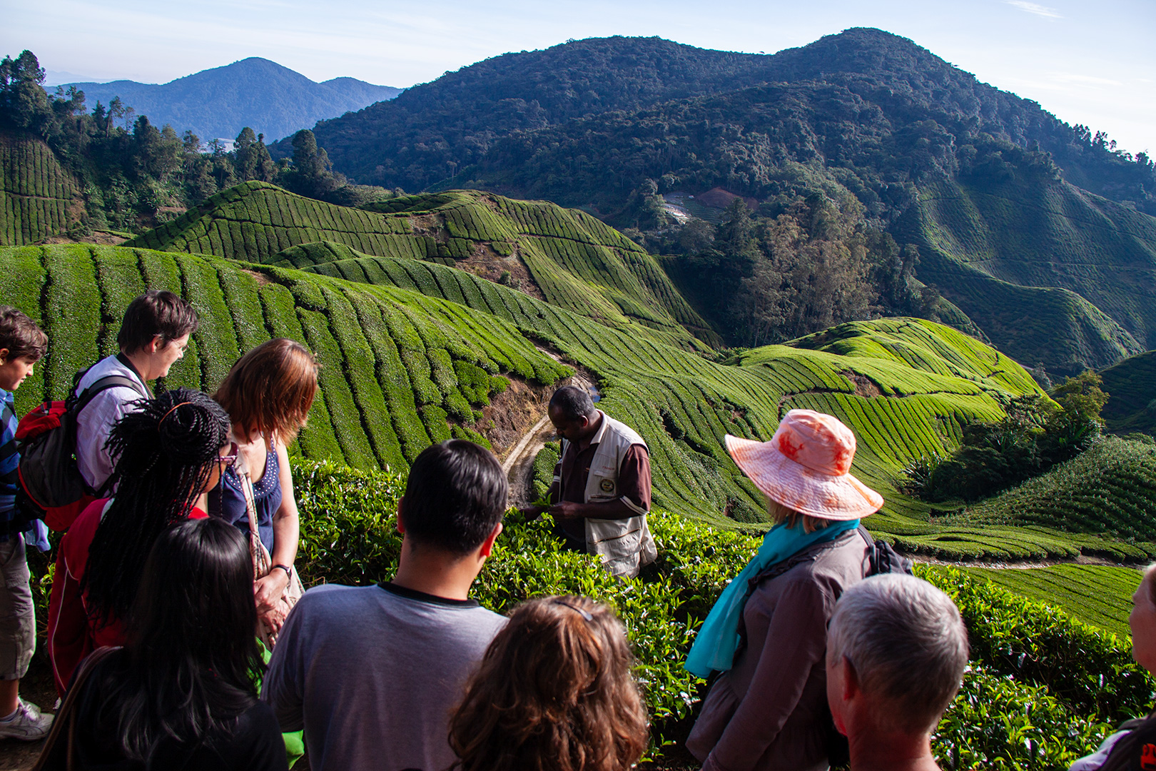 Cameron Highlands