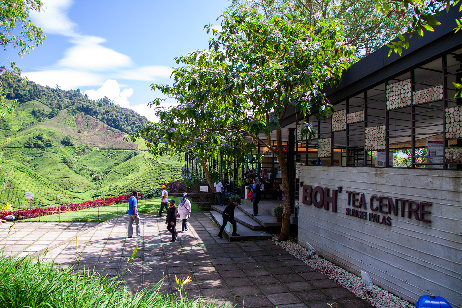 Cameron Highlands